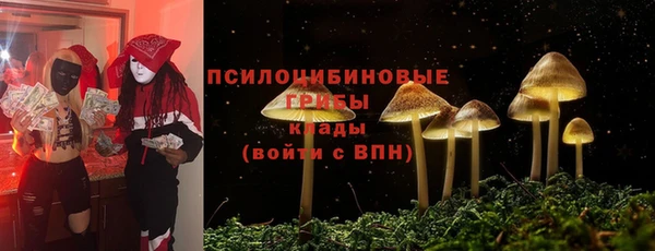 дживик Козловка