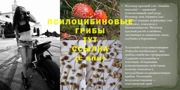 прущий лед Кинешма